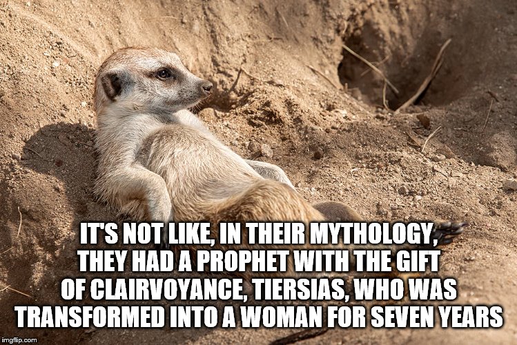 Reclining Meerkat | IT'S NOT LIKE, IN THEIR MYTHOLOGY, THEY HAD A PROPHET WITH THE GIFT OF CLAIRVOYANCE, TIERSIAS, WHO WAS TRANSFORMED INTO A WOMAN FOR SEVEN YE | image tagged in reclining meerkat | made w/ Imgflip meme maker