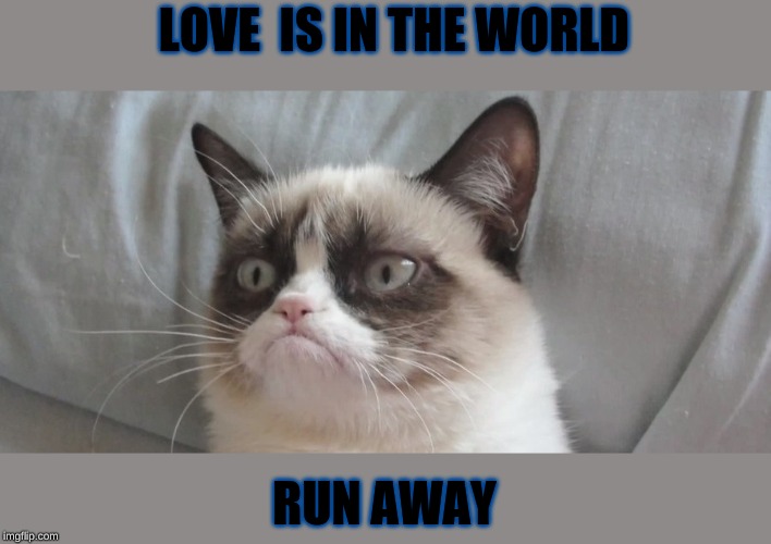 LOVE  IS IN THE WORLD; RUN AWAY | made w/ Imgflip meme maker