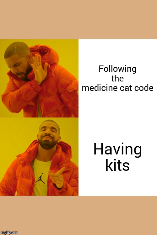 Drake Hotline Bling Meme | Following the medicine cat code; Having kits | image tagged in memes,drake hotline bling | made w/ Imgflip meme maker