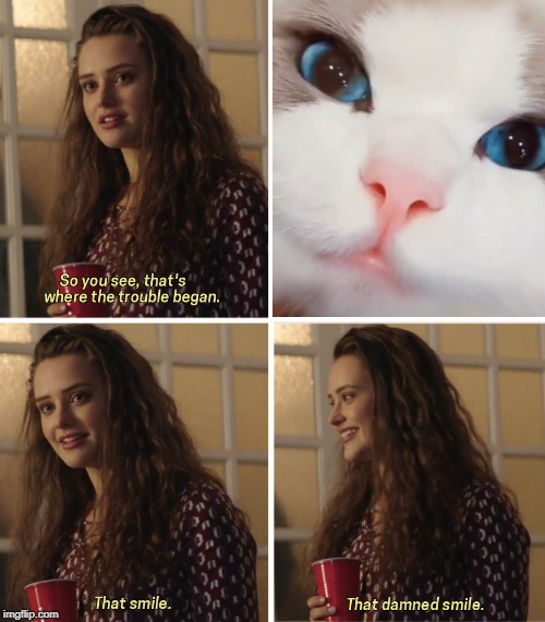 Dat Smile | image tagged in cat,smile | made w/ Imgflip meme maker