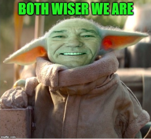 kewlew as baby yoda | BOTH WISER WE ARE | image tagged in kewlew as baby yoda | made w/ Imgflip meme maker