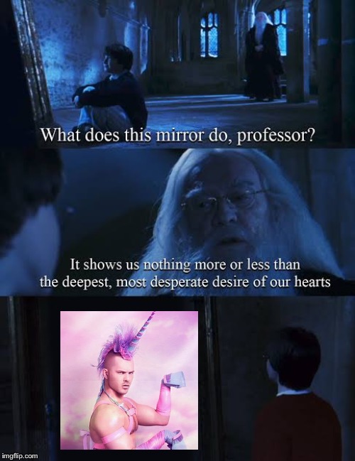 I want to be unicorn man | image tagged in mirror of erised | made w/ Imgflip meme maker
