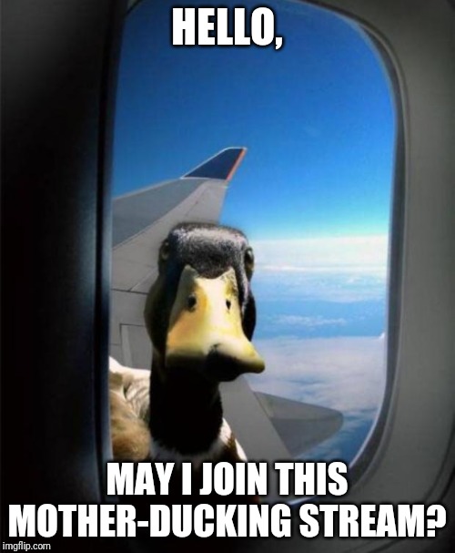 Duck on plane wing | HELLO, MAY I JOIN THIS MOTHER-DUCKING STREAM? | image tagged in duck on plane wing | made w/ Imgflip meme maker