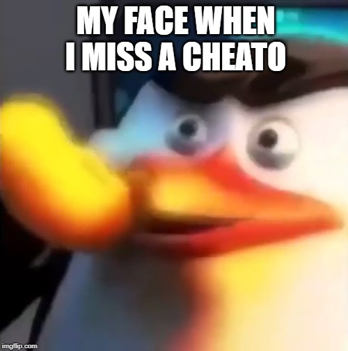 Miss Cheato | MY FACE WHEN I MISS A CHEATO | image tagged in miss cheato | made w/ Imgflip meme maker