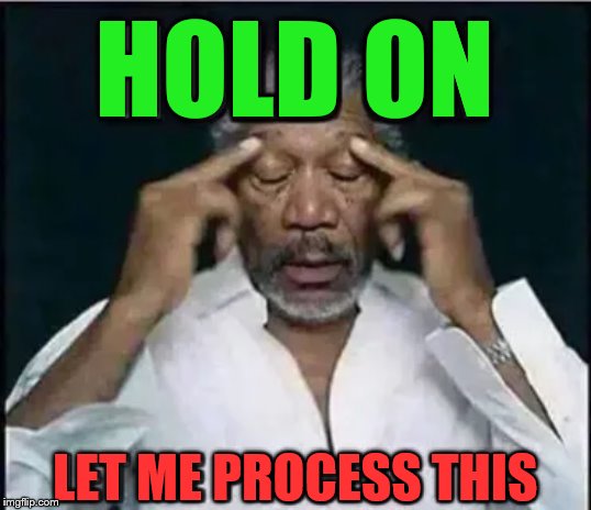 hold on | HOLD ON LET ME PROCESS THIS | image tagged in hold on | made w/ Imgflip meme maker