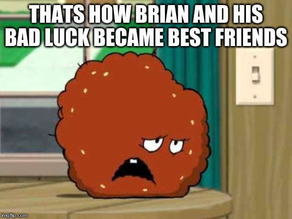 meatwad | THATS HOW BRIAN AND HIS BAD LUCK BECAME BEST FRIENDS | image tagged in meatwad | made w/ Imgflip meme maker