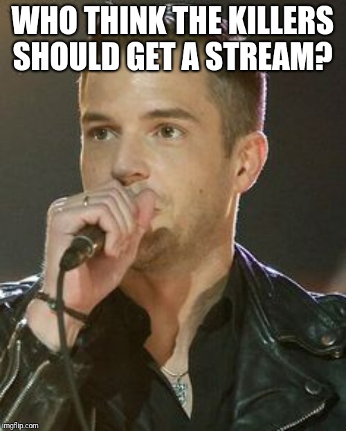 Brandon Flowers | WHO THINK THE KILLERS SHOULD GET A STREAM? | image tagged in brandon flowers | made w/ Imgflip meme maker