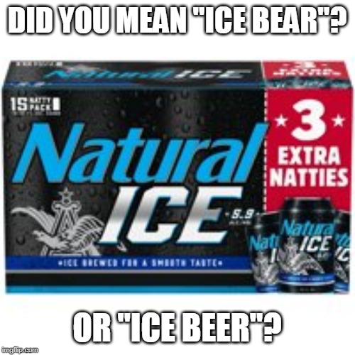 DID YOU MEAN "ICE BEAR"? OR "ICE BEER"? | made w/ Imgflip meme maker