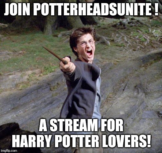 Harry potter | JOIN POTTERHEADSUNITE ! A STREAM FOR HARRY POTTER LOVERS! | image tagged in harry potter | made w/ Imgflip meme maker