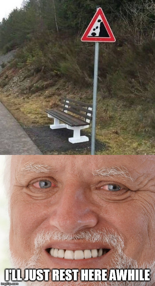 I'LL JUST REST HERE AWHILE | image tagged in hide the pain harold,bench | made w/ Imgflip meme maker