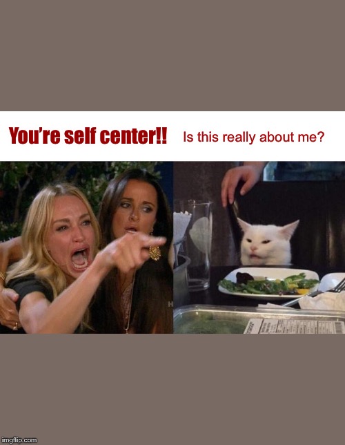 Woman Yelling At Cat | You’re self center!! Is this really about me? | image tagged in memes,woman yelling at cat | made w/ Imgflip meme maker