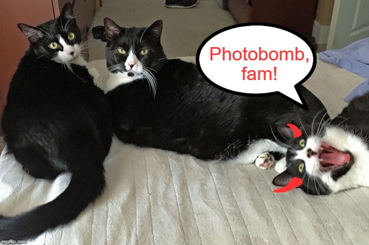 Ememeon Photobomb | Photobomb, fam! | image tagged in ememeon,photobombs,photobomb,fam | made w/ Imgflip meme maker