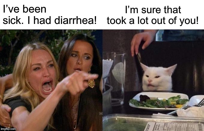 Woman Yelling At Cat Meme | I’ve been sick. I had diarrhea! I’m sure that took a lot out of you! | image tagged in memes,woman yelling at cat | made w/ Imgflip meme maker