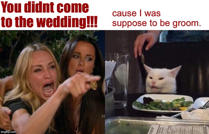 Woman Yelling At Cat | You didnt come to the wedding!!! cause I was suppose to be groom. | image tagged in memes,woman yelling at cat | made w/ Imgflip meme maker