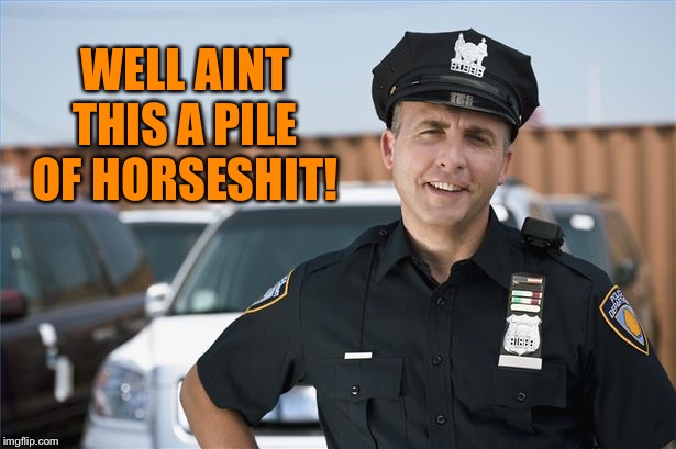 Cop sarcastic | WELL AINT THIS A PILE OF HORSESHIT! | image tagged in cop sarcastic | made w/ Imgflip meme maker