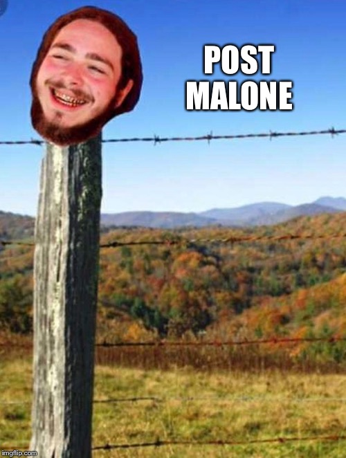 POST MALONE | made w/ Imgflip meme maker