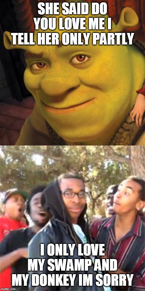 SHE SAID DO YOU LOVE ME I TELL HER ONLY PARTLY; I ONLY LOVE MY SWAMP AND MY DONKEY IM SORRY | image tagged in shrek sexy face,black boy roast | made w/ Imgflip meme maker
