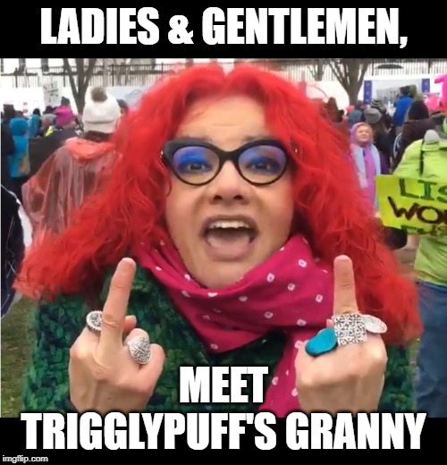 Trigglylpuff's Granny | LADIES & GENTLEMEN, MEET TRIGGLYPUFF'S GRANNY | image tagged in trigglypuff,liberal,feminist,girl power,chick,sjw | made w/ Imgflip meme maker