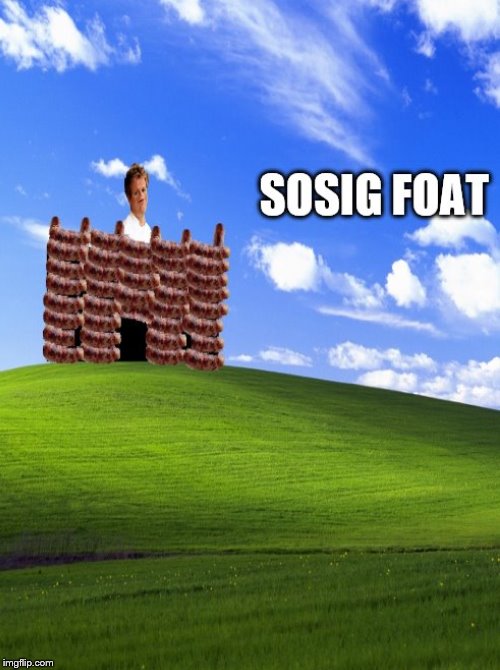 sosig foat | image tagged in chef gordon ramsay | made w/ Imgflip meme maker