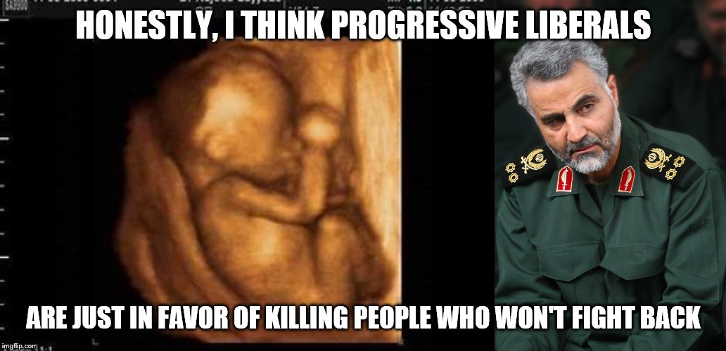 Zero Resistance From One of These | HONESTLY, I THINK PROGRESSIVE LIBERALS; ARE JUST IN FAVOR OF KILLING PEOPLE WHO WON'T FIGHT BACK | image tagged in solemani,fetus,liberals | made w/ Imgflip meme maker