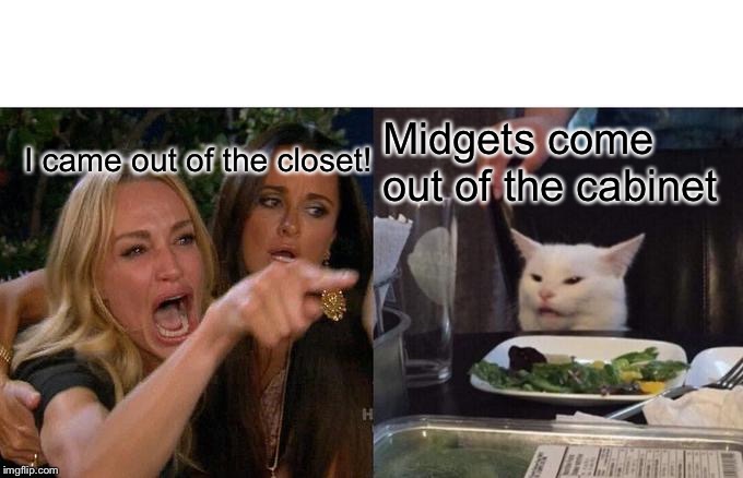 Woman Yelling At Cat Meme | Midgets come out of the cabinet; I came out of the closet! | image tagged in memes,woman yelling at cat | made w/ Imgflip meme maker