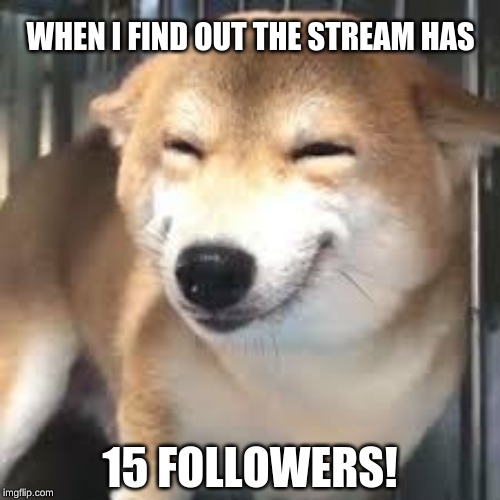I never thought we were gonna make it this far to be honest! |  WHEN I FIND OUT THE STREAM HAS; 15 FOLLOWERS! | image tagged in happ,shiba inu,doge | made w/ Imgflip meme maker
