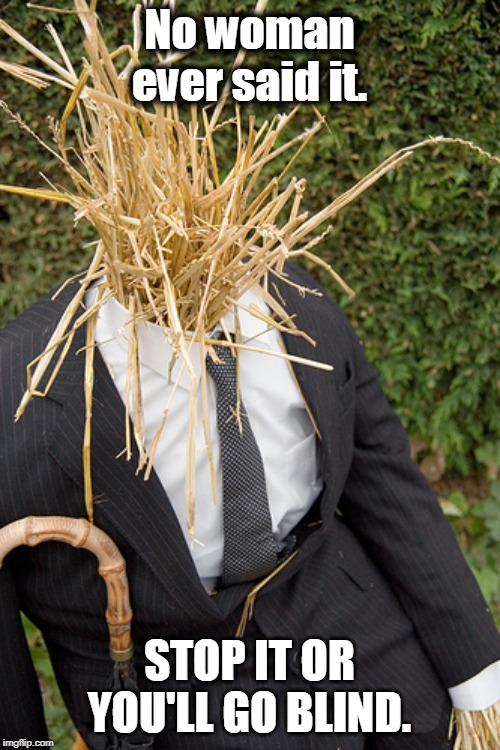 Straw Man | No woman ever said it. STOP IT OR YOU'LL GO BLIND. | image tagged in straw man | made w/ Imgflip meme maker