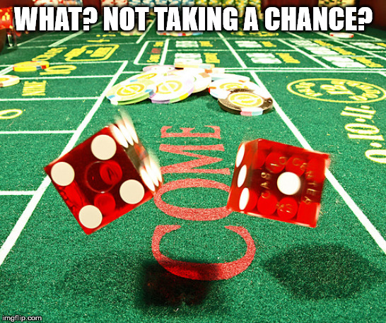 gamble dice craps | WHAT? NOT TAKING A CHANCE? | image tagged in gamble dice craps | made w/ Imgflip meme maker