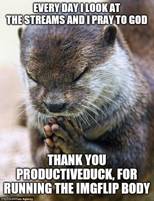 Thank you Lord Otter | EVERY DAY I LOOK AT THE STREAMS AND I PRAY TO GOD; THANK YOU PRODUCTIVEDUCK, FOR RUNNING THE IMGFLIP BODY | image tagged in thank you lord otter | made w/ Imgflip meme maker