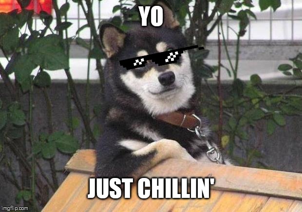 Cool dog | YO; JUST CHILLIN' | image tagged in cool dog | made w/ Imgflip meme maker