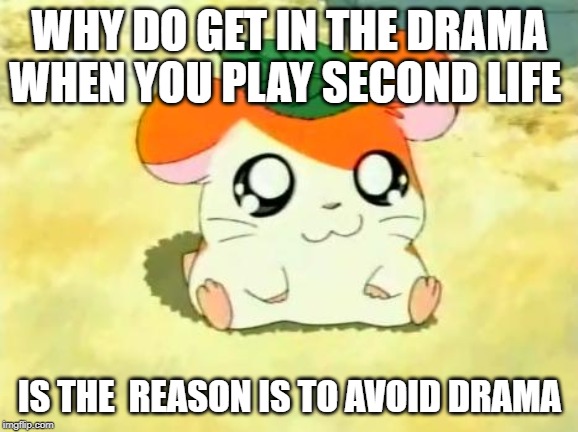 Hamtaro | WHY DO GET IN THE DRAMA WHEN YOU PLAY SECOND LIFE; IS THE  REASON IS TO AVOID DRAMA | image tagged in memes,hamtaro | made w/ Imgflip meme maker