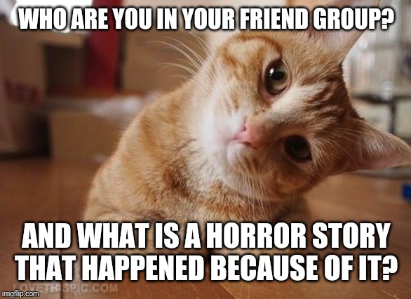 Curious Question Cat | WHO ARE YOU IN YOUR FRIEND GROUP? AND WHAT IS A HORROR STORY THAT HAPPENED BECAUSE OF IT? | image tagged in curious question cat | made w/ Imgflip meme maker
