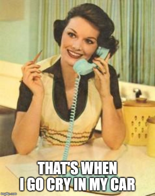 lady on the phone | THAT'S WHEN I GO CRY IN MY CAR | image tagged in lady on the phone | made w/ Imgflip meme maker