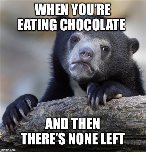 Confession Bear Meme | WHEN YOU’RE EATING CHOCOLATE; AND THEN THERE’S NONE LEFT | image tagged in memes,confession bear | made w/ Imgflip meme maker