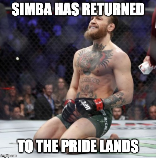 Simba is back | SIMBA HAS RETURNED; TO THE PRIDE LANDS | image tagged in conor mcgregor | made w/ Imgflip meme maker