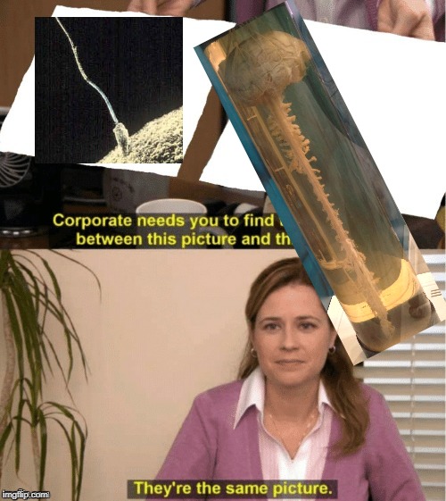 They're The Same Picture Meme | image tagged in office same picture | made w/ Imgflip meme maker