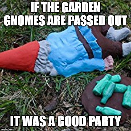Party was good | IF THE GARDEN GNOMES ARE PASSED OUT; IT WAS A GOOD PARTY | image tagged in funny memes | made w/ Imgflip meme maker
