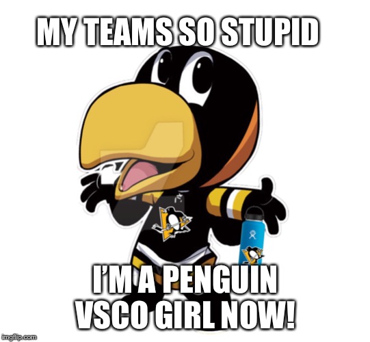 Pittsburgh penguins | MY TEAMS SO STUPID; I’M A PENGUIN VSCO GIRL NOW! | image tagged in pittsburgh penguins | made w/ Imgflip meme maker