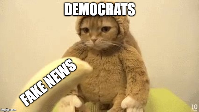 Monkey Cat | DEMOCRATS; FAKE NEWS | image tagged in monkey cat | made w/ Imgflip meme maker