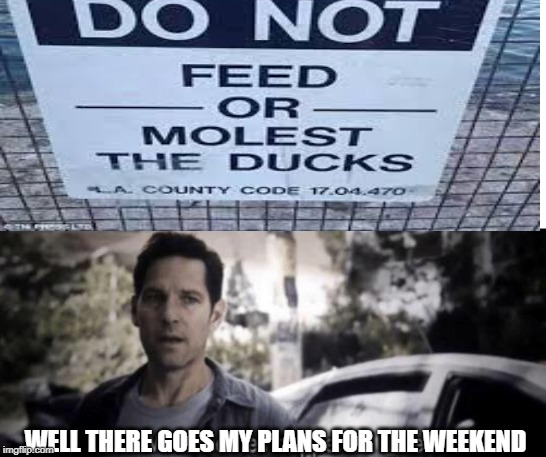 WELL THERE GOES MY PLANS FOR THE WEEKEND | image tagged in what the hell happened here | made w/ Imgflip meme maker