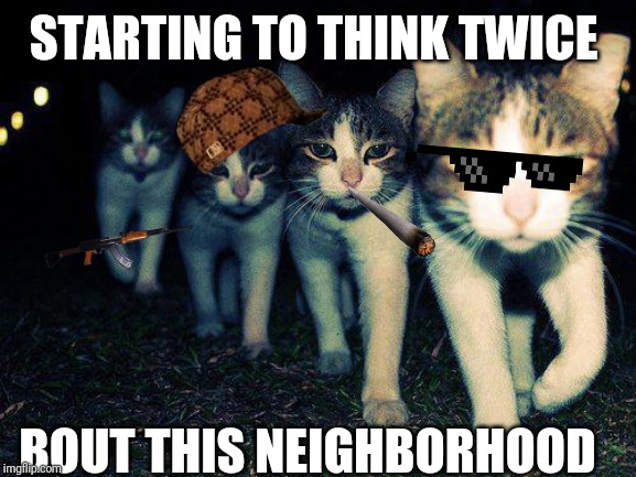 Wrong Neighboorhood Cats | STARTING TO THINK TWICE; BOUT THIS NEIGHBORHOOD | image tagged in memes,wrong neighboorhood cats | made w/ Imgflip meme maker