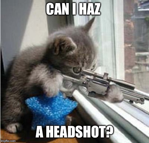 CAN I HAZ; A HEADSHOT? | image tagged in sniper,catsniper,memes,funny,gaming,cute cats | made w/ Imgflip meme maker