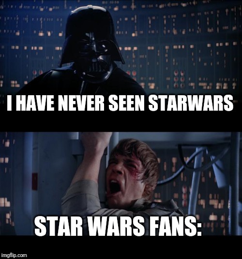 Star Wars No Meme | I HAVE NEVER SEEN STARWARS; STAR WARS FANS: | image tagged in memes,star wars no | made w/ Imgflip meme maker