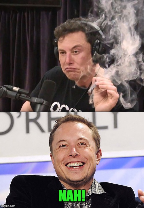NAH! | image tagged in elon musk,elon musk smoking a joint | made w/ Imgflip meme maker