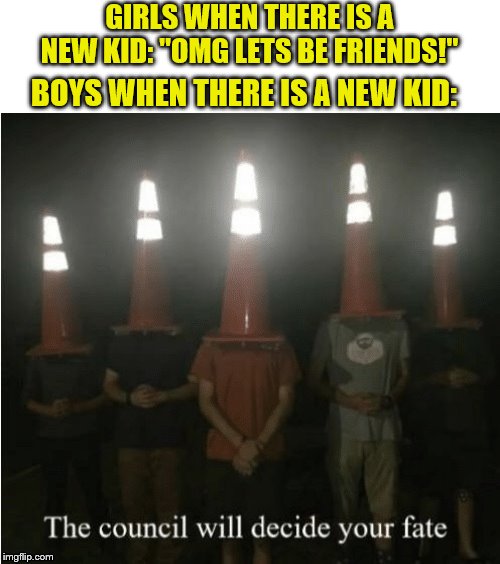 The council will decide your fate | GIRLS WHEN THERE IS A NEW KID: "OMG LETS BE FRIENDS!"; BOYS WHEN THERE IS A NEW KID: | image tagged in the council will decide your fate,school,memes | made w/ Imgflip meme maker