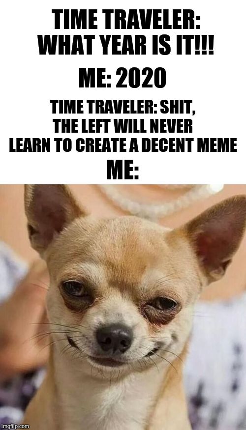 TIME TRAVELER: WHAT YEAR IS IT!!! ME: 2020 TIME TRAVELER: SHIT, THE LEFT WILL NEVER LEARN TO CREATE A DECENT MEME ME: | image tagged in blank white template,smirking dog | made w/ Imgflip meme maker