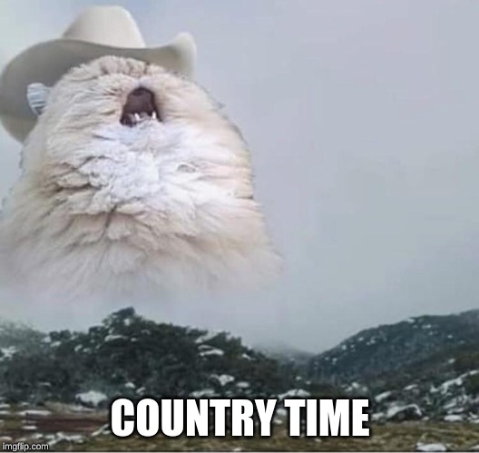 Country Roads Cat | COUNTRY TIME | image tagged in country roads cat | made w/ Imgflip meme maker