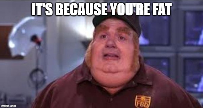 Fat Bastard | IT'S BECAUSE YOU'RE FAT | image tagged in fat bastard | made w/ Imgflip meme maker