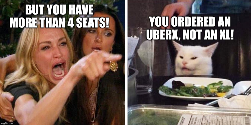 Smudge the cat | YOU ORDERED AN UBERX, NOT AN XL! BUT YOU HAVE MORE THAN 4 SEATS! | image tagged in smudge the cat | made w/ Imgflip meme maker