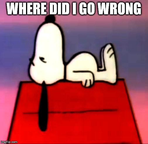 where did I go wrong | WHERE DID I GO WRONG | image tagged in where did i go wrong | made w/ Imgflip meme maker